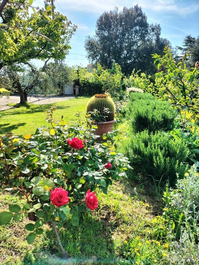 Gervasella Villa Pontedera Bagian luar foto